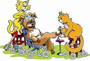 Стрижка собак и кошек - груминг-салон 